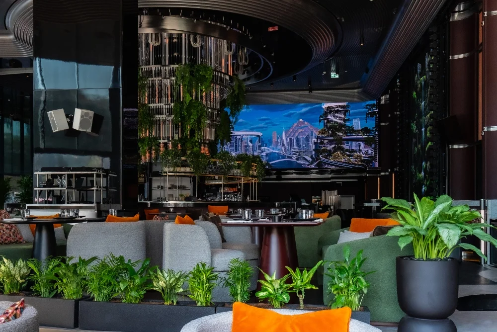 Woohoo ambiance and environment