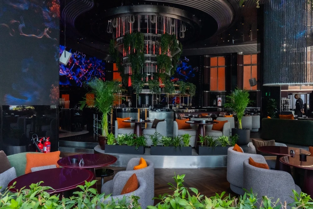 ambiance and environment of Woohoo