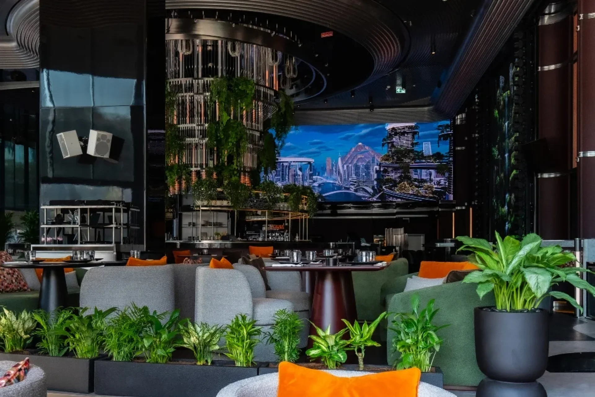 Woohoo ambiance and environment